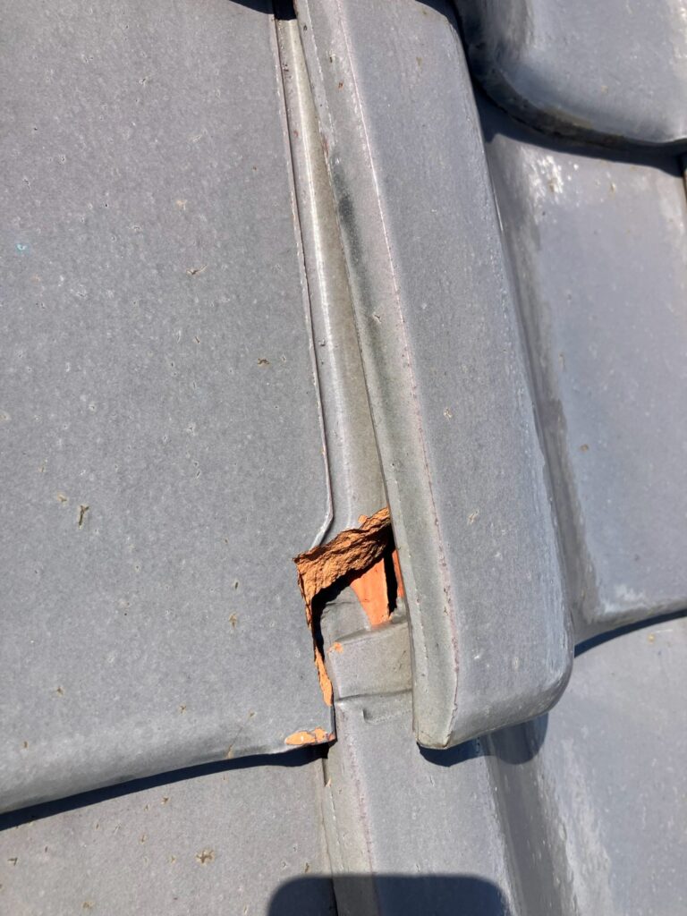 平瓦の欠損を確認
